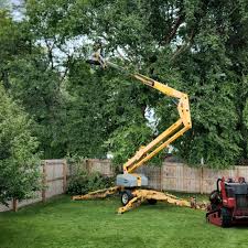Best Commercial Tree Services  in Wasco, CA