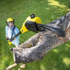 Best Landscape Design and Installation  in Wasco, CA