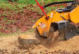 Best Firewood Processing and Delivery  in Wasco, CA